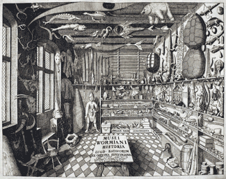 Ole Worm's cabinet of curiosities